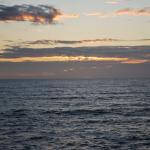 Cambria_0235 (November 05, 2011)